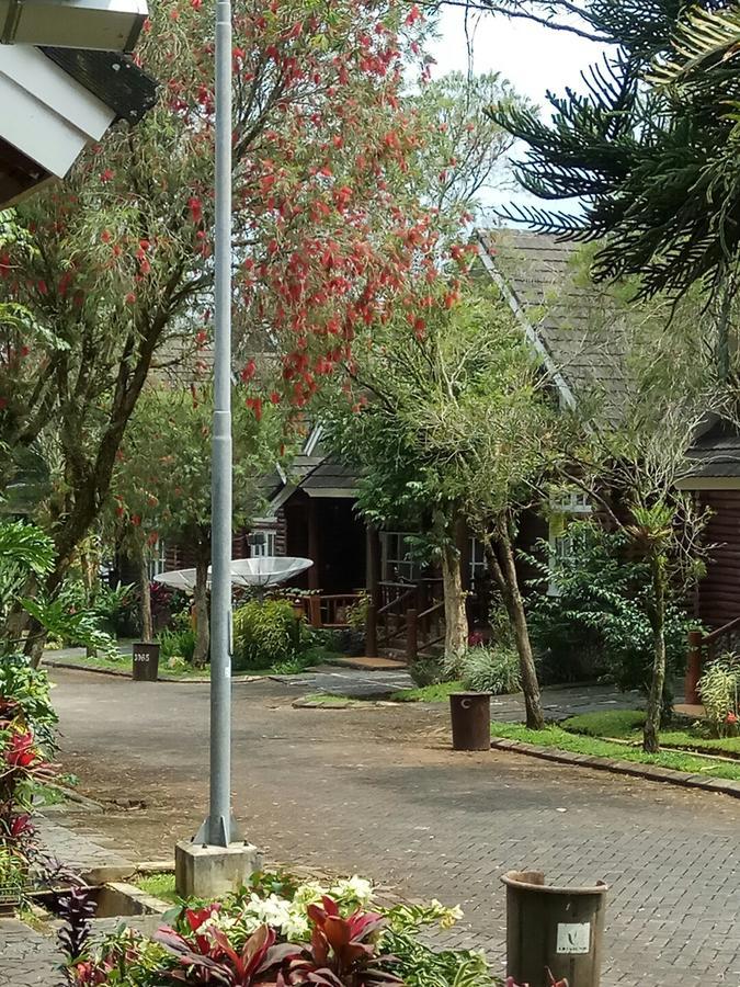 Vila Kota Bunga Private Pool ปุนจัก ภายนอก รูปภาพ
